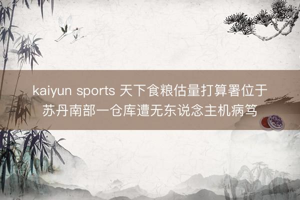 kaiyun sports 天下食粮估量打算署位于苏丹南部一仓库遭无东说念主机病笃