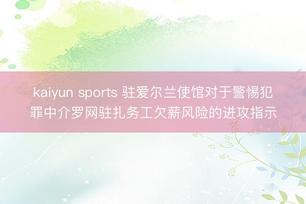 kaiyun sports 驻爱尔兰使馆对于警惕犯罪中介罗网驻扎务工欠薪风险的进攻指示