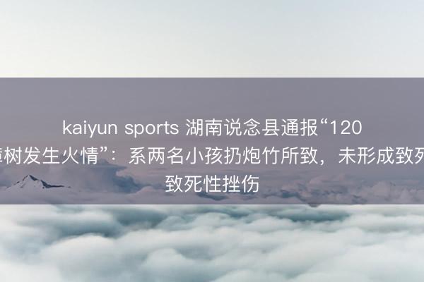 kaiyun sports 湖南说念县通报“1200年古樟树发生火情”：系两名小孩扔炮竹所致，未形成致死性挫伤