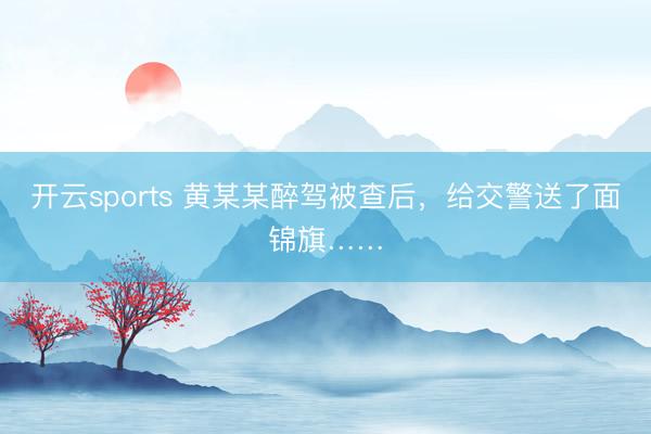 开云sports 黄某某醉驾被查后，给交警送了面锦旗……