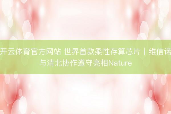 开云体育官方网站 世界首款柔性存算芯片|维信诺与清北协作遵守亮相Nature