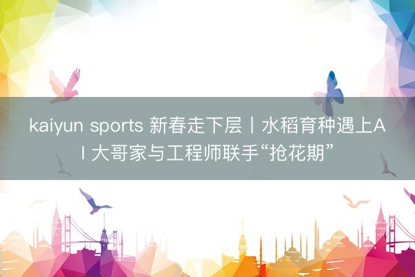 kaiyun sports 新春走下层丨水稻育种遇上AI 大哥家与工程师联手“抢花期”