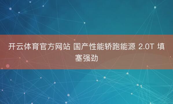 开云体育官方网站 国产性能轿跑能源 2.0T 填塞强劲