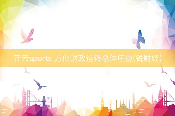 开云sports 方位财政运转总体庄重(锐财经)