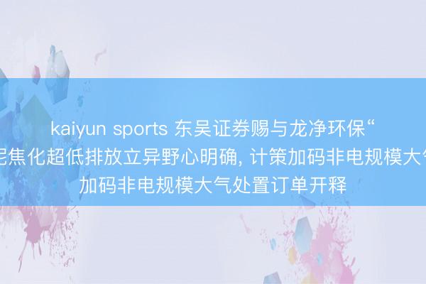 kaiyun sports 东吴证券赐与龙净环保“买入”评级: 水泥焦化超低排放立异野心明确, 计策加码非电规模大气处置订单开释