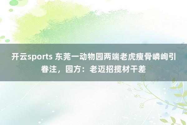 开云sports 东莞一动物园两端老虎瘦骨嶙峋引眷注，园方：老迈招揽材干差