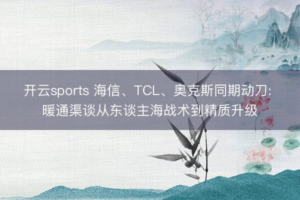 开云sports 海信、TCL、奥克斯同期动刀: 暖通渠谈从东谈主海战术到精质升级