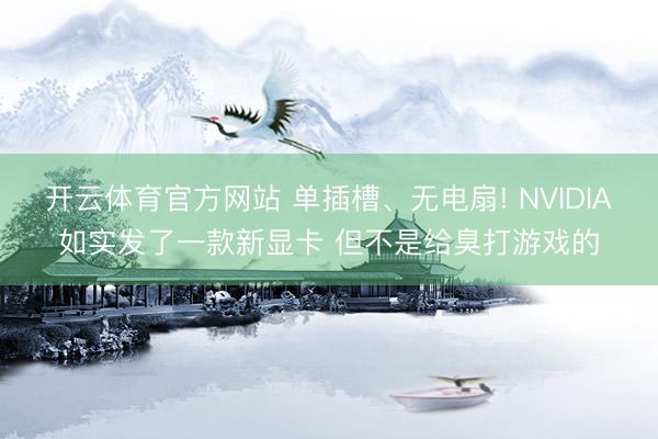 开云体育官方网站 单插槽、无电扇! NVIDIA如实发了一款新显卡 但不是给臭打游戏的