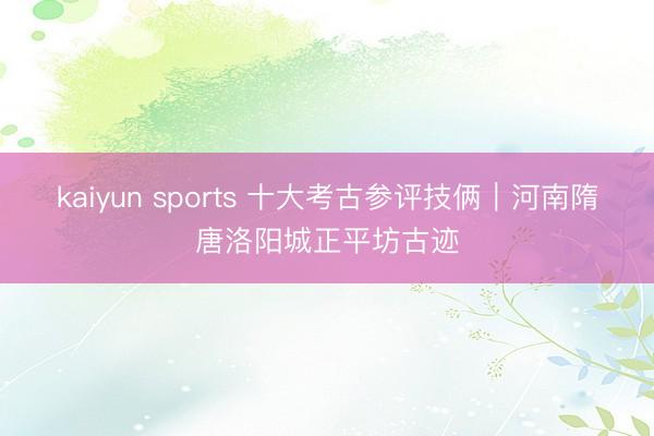 kaiyun sports 十大考古参评技俩｜河南隋唐洛阳城正平坊古迹