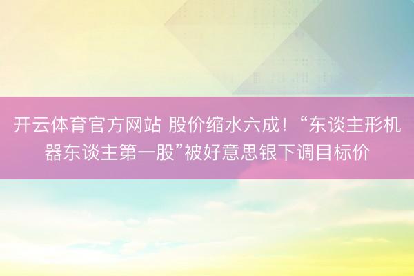 开云体育官方网站 股价缩水六成！“东谈主形机器东谈主第一股”被好意思银下调目标价
