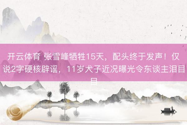 开云体育 张雪峰牺牲15天，配头终于发声！仅说2字硬核辟谣，11岁犬子近况曝光令东谈主泪目