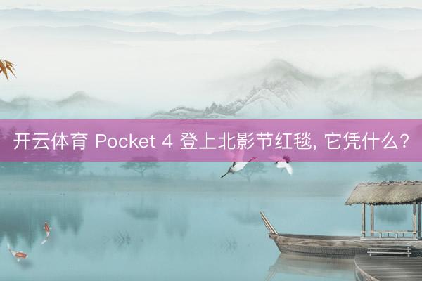 开云体育 Pocket 4 登上北影节红毯， 它凭什么?