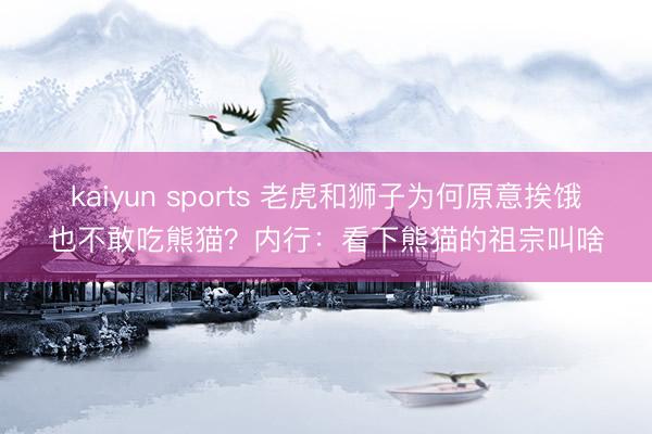 kaiyun sports 老虎和狮子为何原意挨饿也不敢吃熊猫？内行：看下熊猫的祖宗叫啥