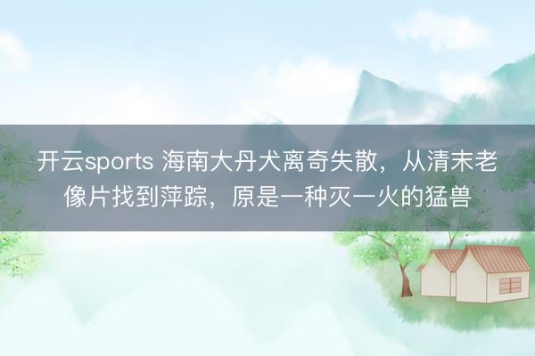 开云sports 海南大丹犬离奇失散，从清末老像片找到萍踪，<a href=