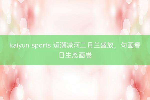 kaiyun sports 运潮减河二月兰盛放，勾画春日生态